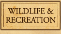 Wildlife and Recreation