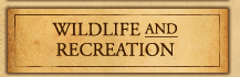 Wildlife and Recreation